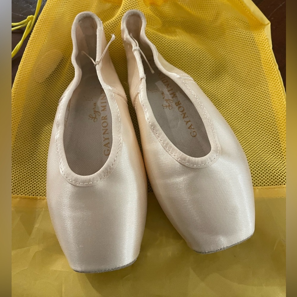 Gaynor Minden Pointe Shoes LSK-7M3+XDL